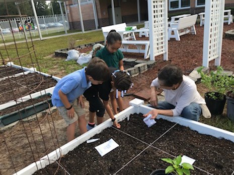 Children and instructor engaging in gardening activities